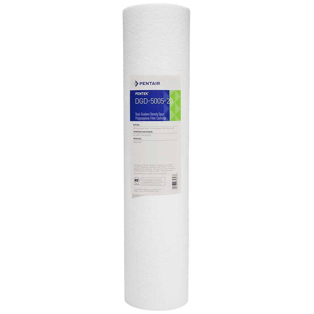 DGD-5005-20 Pentek Filter Cartridge (155358-43)